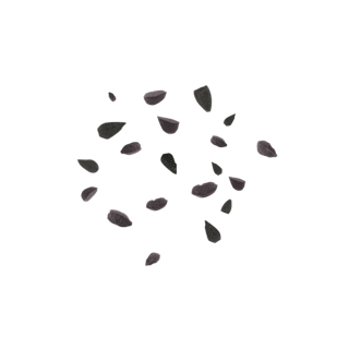 fliegende Schwarzkümmelsamen