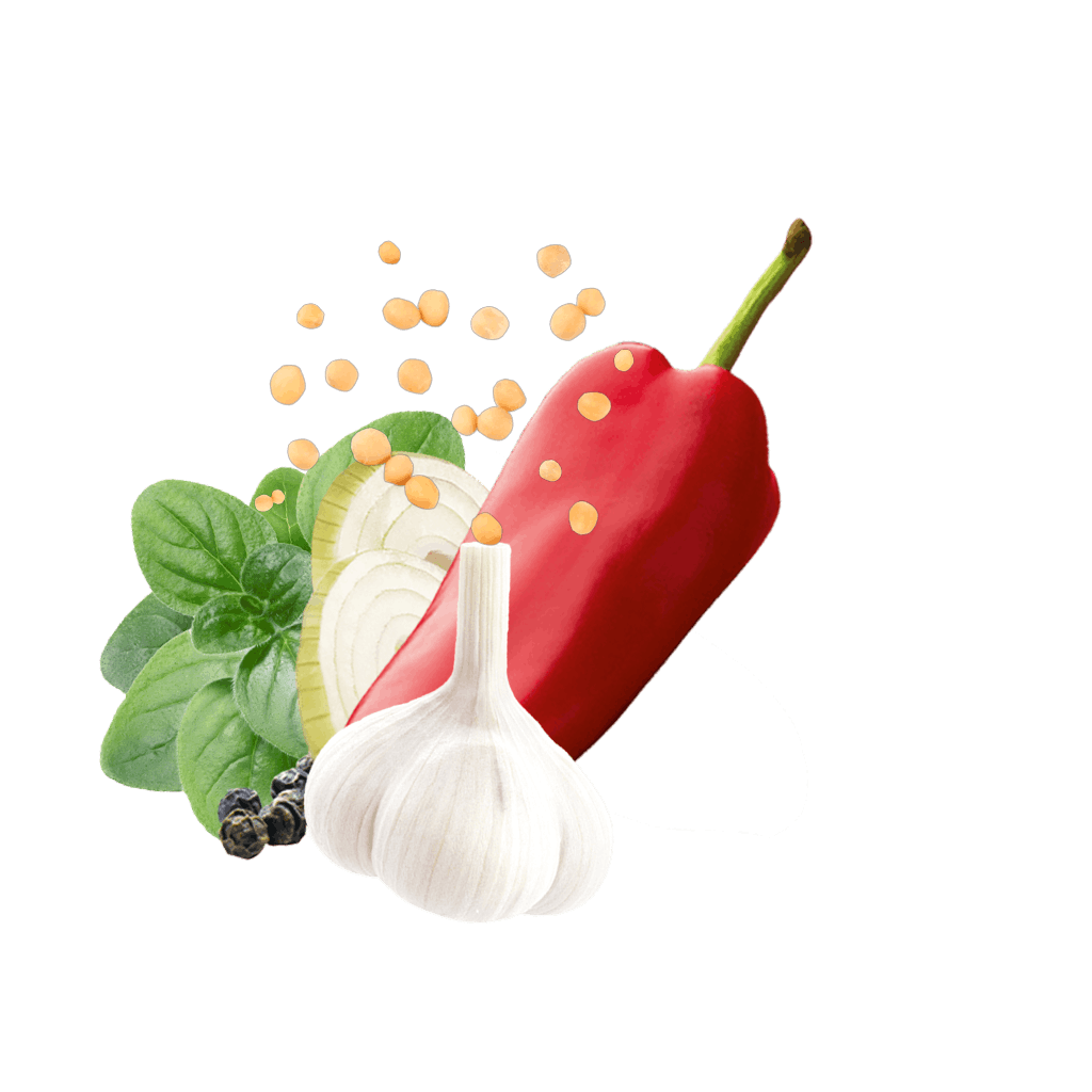 Fajita Začimbna Mešanica Contentimage