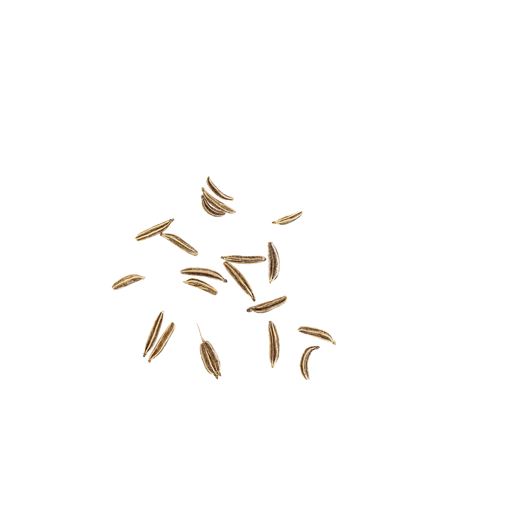 Cumin Contentimg Small