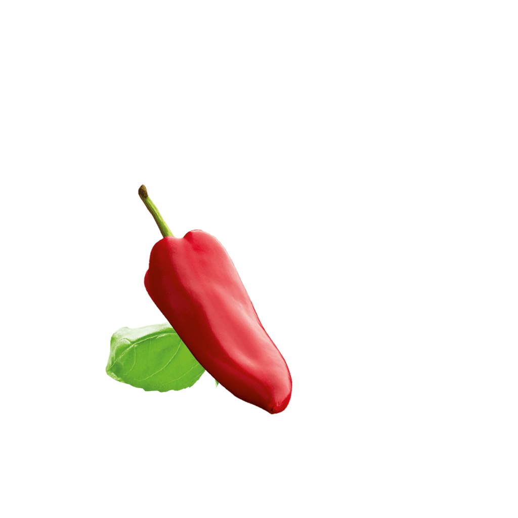 Paprika Content