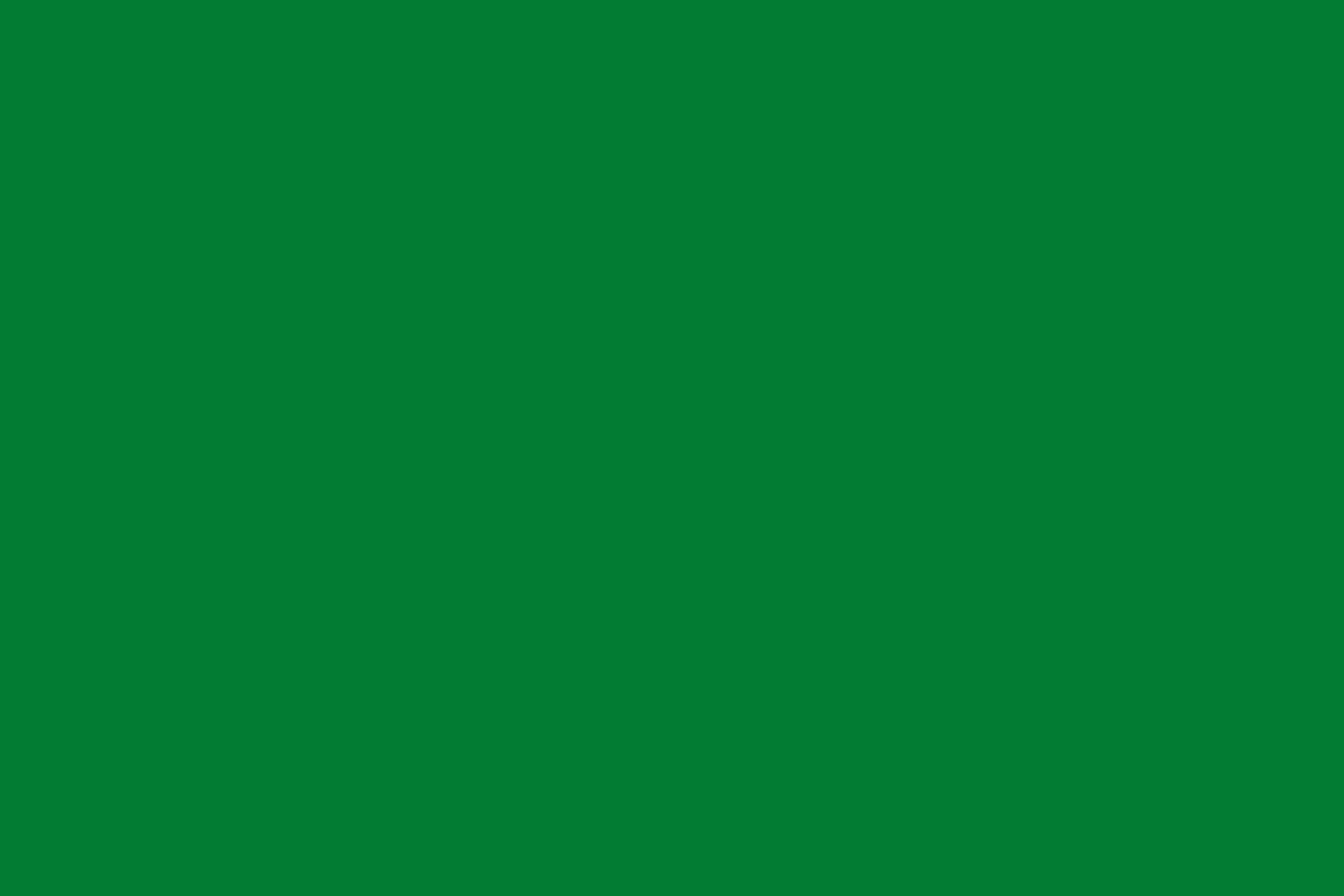 Kotanyi Zelena 2880x1920px